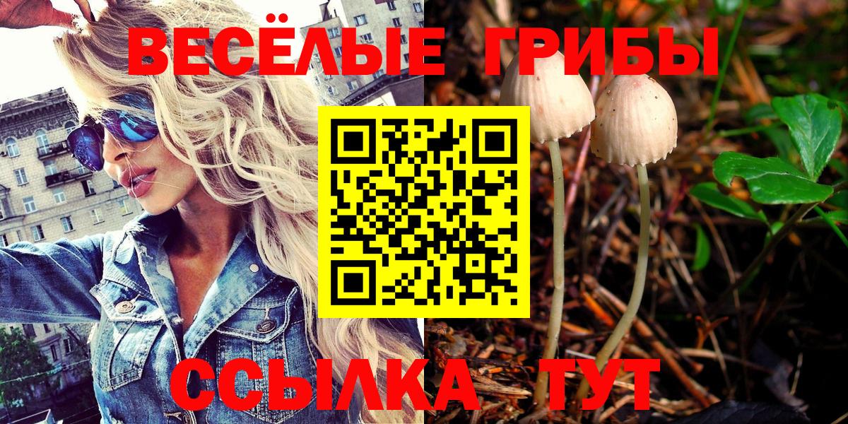 Псилоцибиновые грибы мухоморы Петропавловск-Камчатский