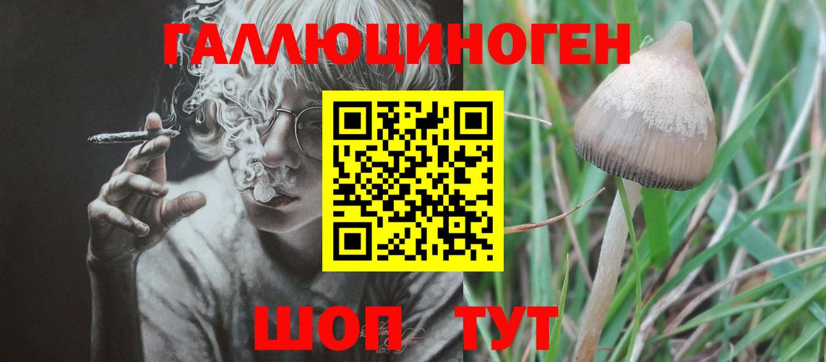 Галлюциногенные грибы ЛСД  Вход с VPN  Галлюциногенные грибы MAGIC MUSHROOMS  Петропавловск-Камчатский 